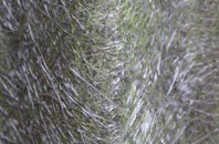 Drimnin fibreglass roof work